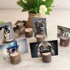 10Pcs Stump Shape Wedding Party Place Card Holder Stand Number Table Clip Card Holder