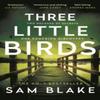 Three Little Birds by Sam Blake Paperback Book 9781805460145