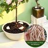 10Pcs Planter Aeration Tubes, Flower Pot Irrigation Spikes Prevent Overwatering, Plant Ventilation Tubes for Indoor Outdoor Potted Plants
