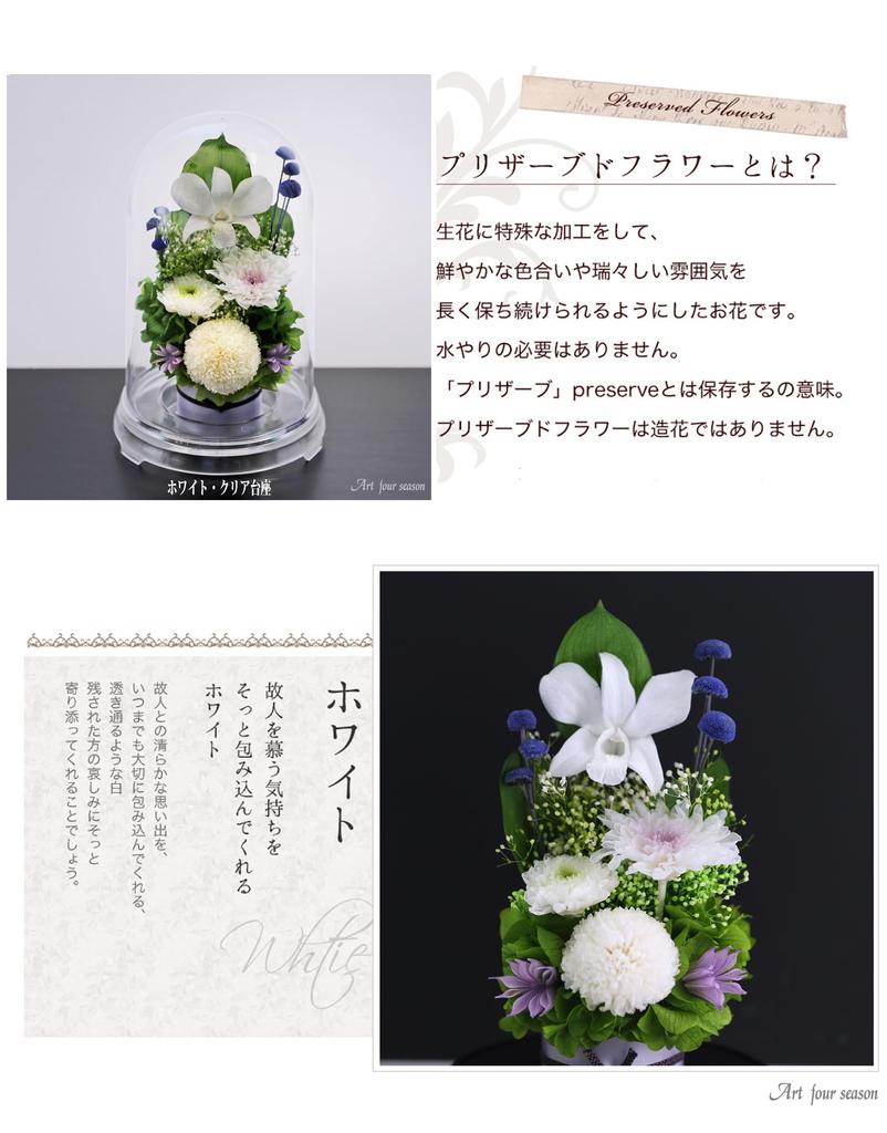 Art for Seasons Offering Mum Dome Preserved Flowers (White with Clear Base)