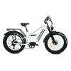 1500W 52V 19AH