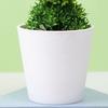 Fashion Artificial Bonsai Energetic Exquisite Long-lasting