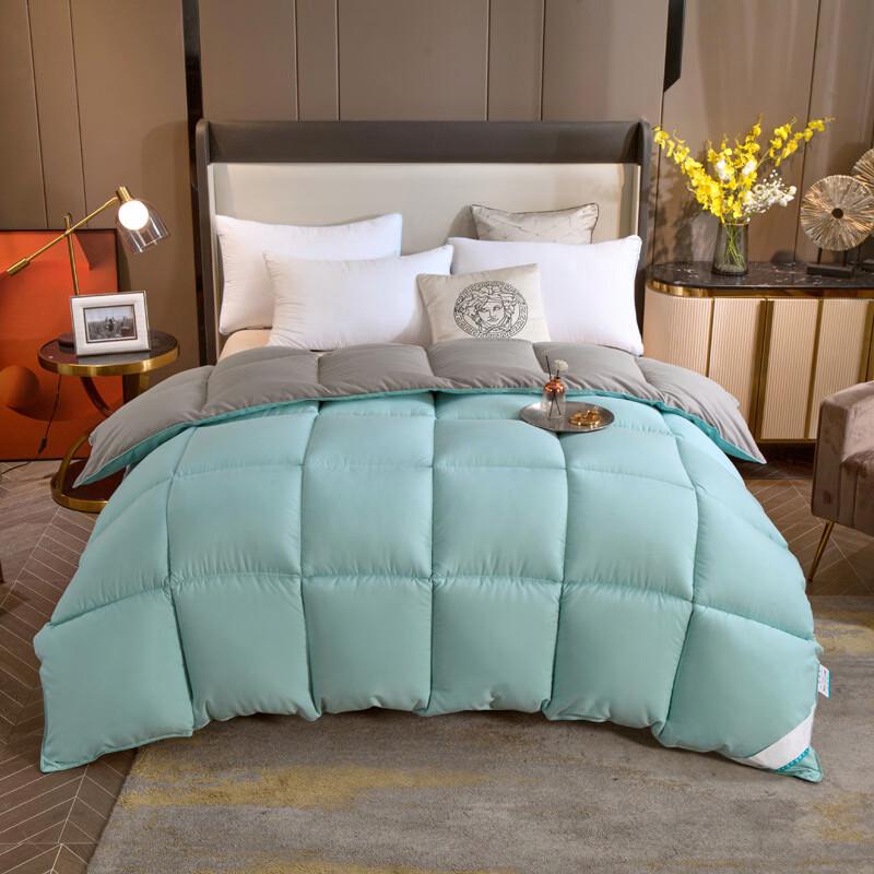 General s Mansion Thick Warm Cotton Quilt