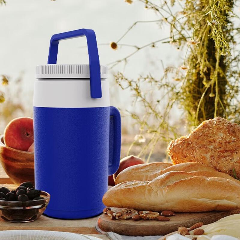 OEING Portable Camping Cooler 2L