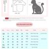 Hairless Cat Clothes Sphinx Warm Bottoming Sweater Devon Koenigs Curly Autumn and Winter Clothes