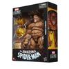Hasbro Marvel Legends Series Amazing Spider-Man Grizzly Action Figure 6-Inch Collector's Edition Based on Marvel Comics G2084