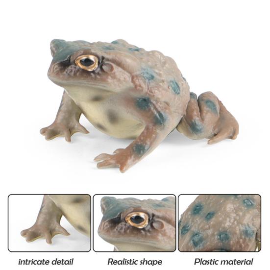 Figurka rosničky Realistická Socha ropuchy Socha Ornament Dekorace Děti Vzdělávací simulace Model divokého zvířete Hračka Batolata Chlapci Dívky Dárek
