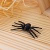 20Pcs/Pack Small 5Pcs/Pack Big Plastic Fake Spider Prank Toys Home Handmade DIY Crafts Halloween Decor Spiders Party Supplies