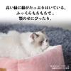 Pet Bed for Cat Bed for Soft 3D Cotton Warm and 67x51x15cm Compatible with Floor Backing PEOPLE&PETS Air-Conditioned Rooms, Stomp-on Dogs, Cushion,