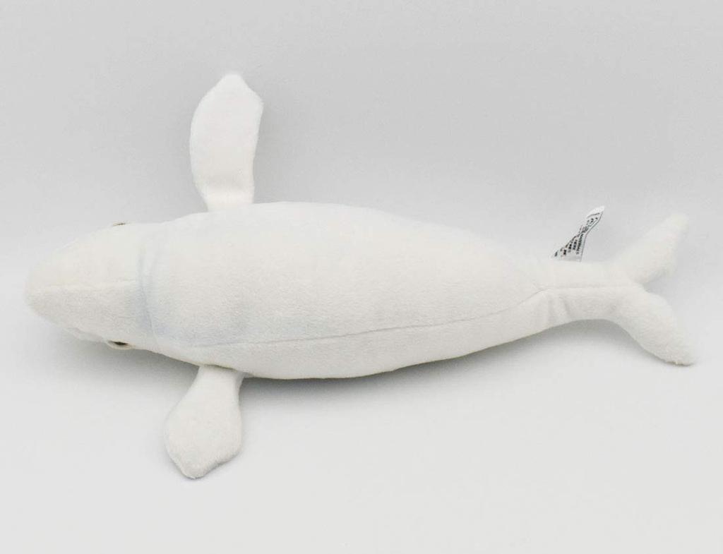 BH6626 HANSA Beluga 42