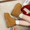 Winter New Snow Boots Retro Platform Muffin Martin Boots Short Boots Rear Zipper Boots Women's Shoes