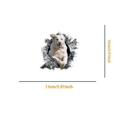 Dış Aksesuarlar – Araba Çıkartmaları