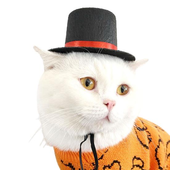 

Шапка для питомца Изысканное исполнение Широкое применение Нетканый материал Колпак кошки в стиле фокусника для повседневной носки S чёрный