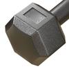 Jeden pár šestihranných činek litinových PVC 22 lb Fitness sada šestihranných činek pro silový trénink