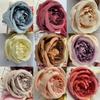 Rose Realistic Lily Flowers Home Wedding Decoration Photography Gifts Props