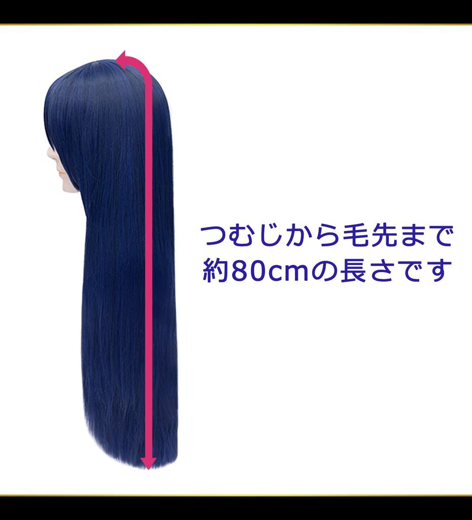 CaseEden Cosplay Wig, Premium Smooth Long 80cm Heat-Resistant Blue-Black (WIG6181)