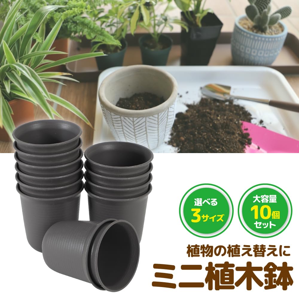 AllBright Mini Plastic Plant Pots with Drainage Set for Garden Succulents and Cacti Holes, 10-Piece (9cm Diameter, 10-Piece Set)