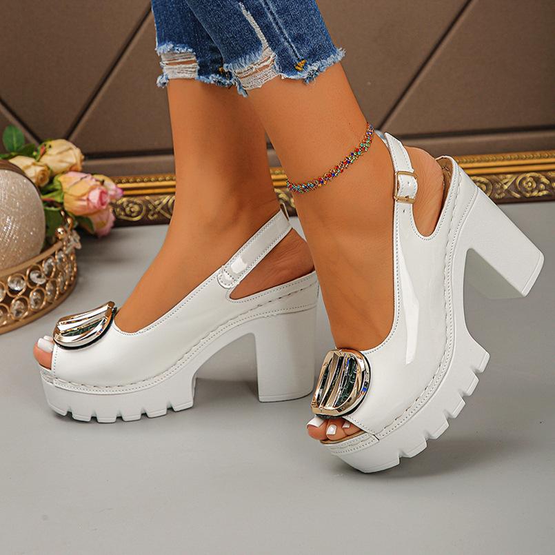 Fish Mouth Sandals Women's Summer New Fashionable Square Buckle Thick Sole Thick Heel High-heeled Buckle Sandals