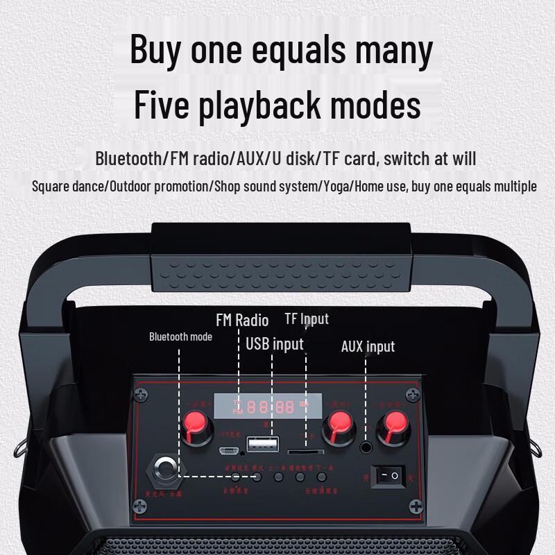 Newmine Portable Bluetooth Karaoke Speaker