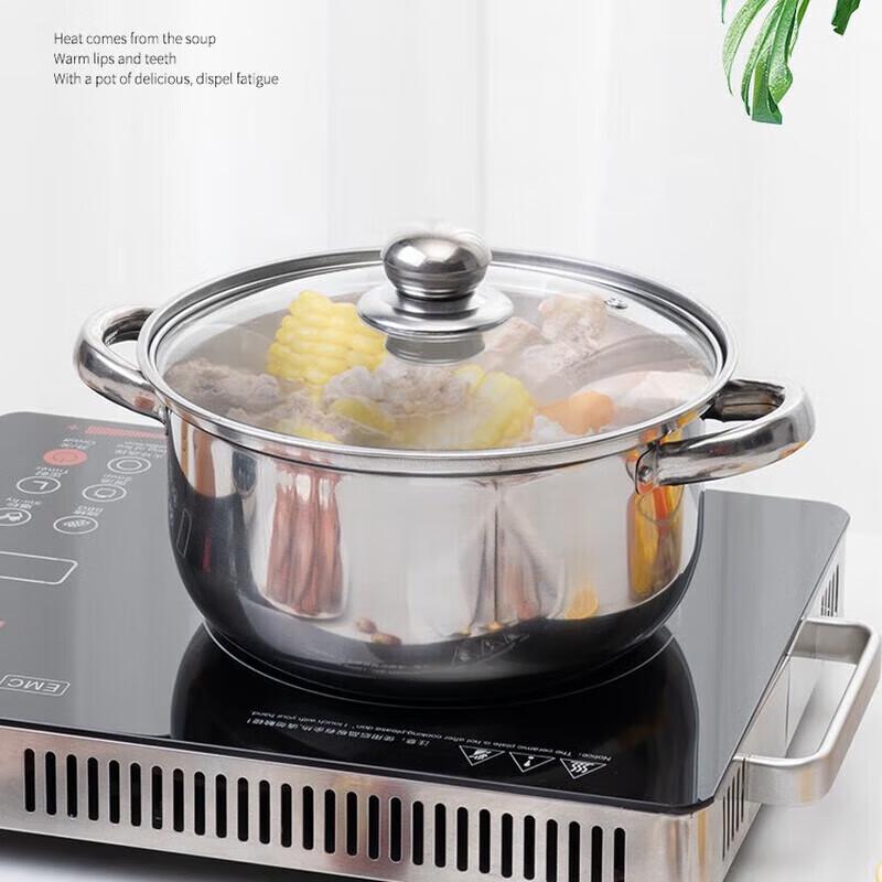 Debo Flensburg Stainless Steel Stockpot