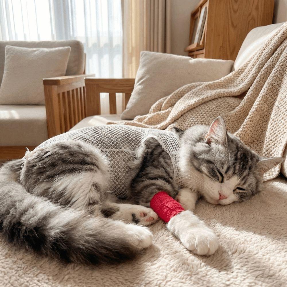 Copertura protettiva traspirante per animali domestici Manicotto a rete elastica per ginocchio e zampa Recupero ferite