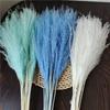 Cattail Dried Flower Bouquet - Preserved Flowers for Home Decor