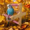 Accesorio para Jaula Percha Giratoria 360° para Pájaros Madera DIY Interactiva Colgante Resistente al Desgaste Parque de Juegos para Loros Juego para Pájaros