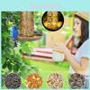 Beautiful Solar Powered Metal Hanging Bird Feeder And Garden Light For Outdoor Spaces And Patios