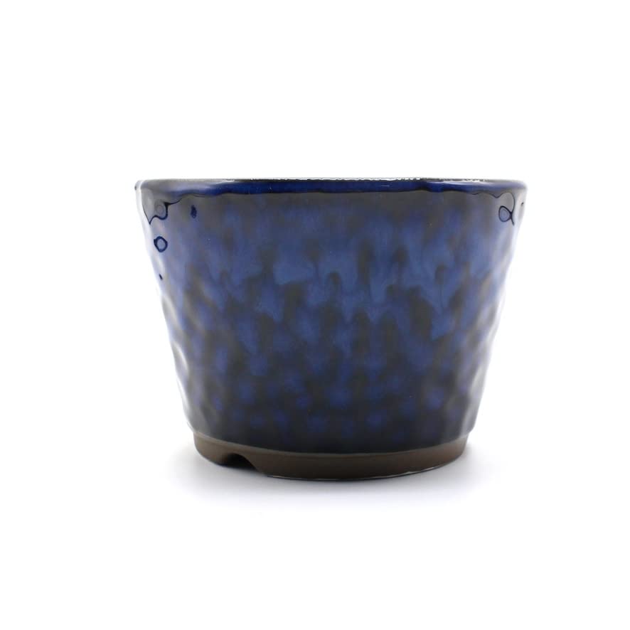 Umekichi Bonsai 3 Round Bonsai Sea Cucumber Approximately Fits Tuberous Small Supplies, No. Pot, Cut-off, Small, Blue, Glaze, 9.5cm, Ceramic,