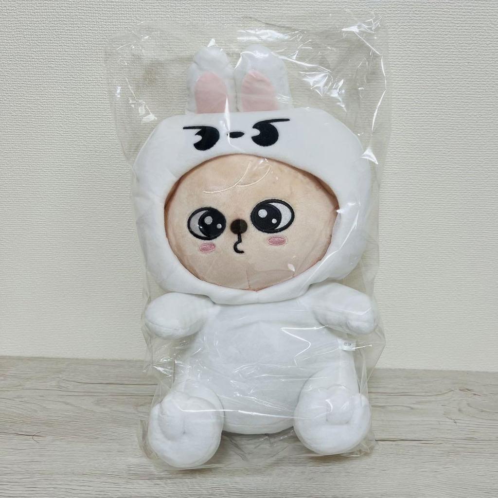 [USED] Official Papim Hug Plush Toy Stray Kids Seungmin