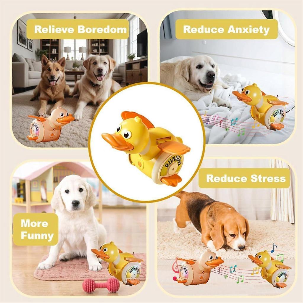 Kriechende Ente Hundespielzeug, Interaktives Tanzendes Entenspielzeug mit Musikgeräuschen & Lichtern