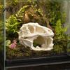 Natural Looking Reptile Shelter Dragon Skull Shelter, Hide Cave, for Terrarium Lizards Hideouts Fish Tanks Accessories Decorative Ornament Living Room