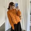 Knitted Splicing Stand-up Collar Down Jacket Women's Winter Short White Duck Down Small Fashionable Loose Warm Jacket