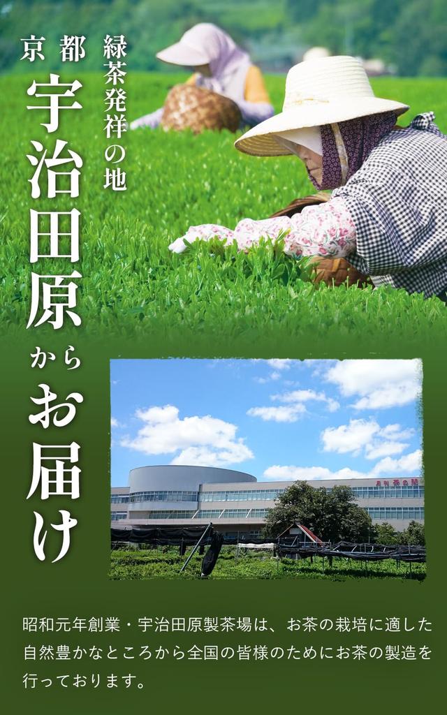 [Monde Selection Award Winner] Kyoto Ujitawara Tea Factory Koimaro Tea, 240g, Japanese Tea (Gyokuro, Deep-Steamed, and Waka-Steamed Sencha Blended