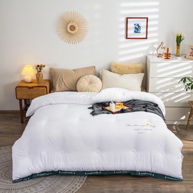 

Gong xiansheng Super Soft Cloud Velvet All-Season Comforter