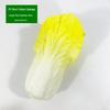 Simulation Cabbage Bok Choy Vegetables: Early Education Ornaments & Props