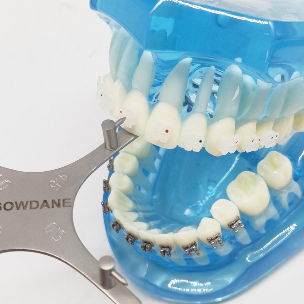 1 piece Dental Orthodontic Bracket Positioning Height Wick Gauge High precision Bracket Positioner Dental Ortho Tool  Instrument