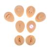 Silicon Ear Eye Nose Mouth Tongue Navel Piercing Model Press Needle Display Tool