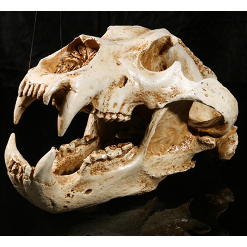 Movie Props Animal Model High Precision 1:1 Resin Crafts North Bear Skull