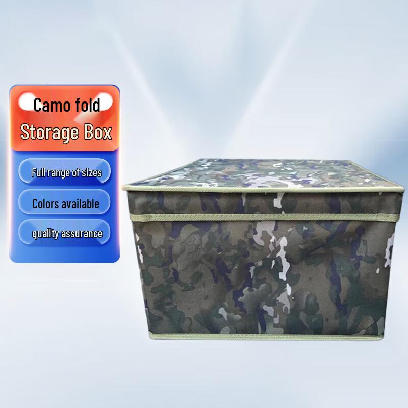 Shengxin Foldable Storage Organizer