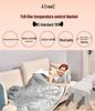Cross-Border Electric Blanket - European, British, American Standards 110V Electric Mattress