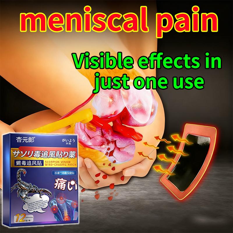 Botanical Formula Patch for Knee Pain