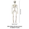 Skeletons Halloween Decorations Posable Skeleton Movable Joint Full Body Realistic Skeleton Spooky Human Bones Halloween