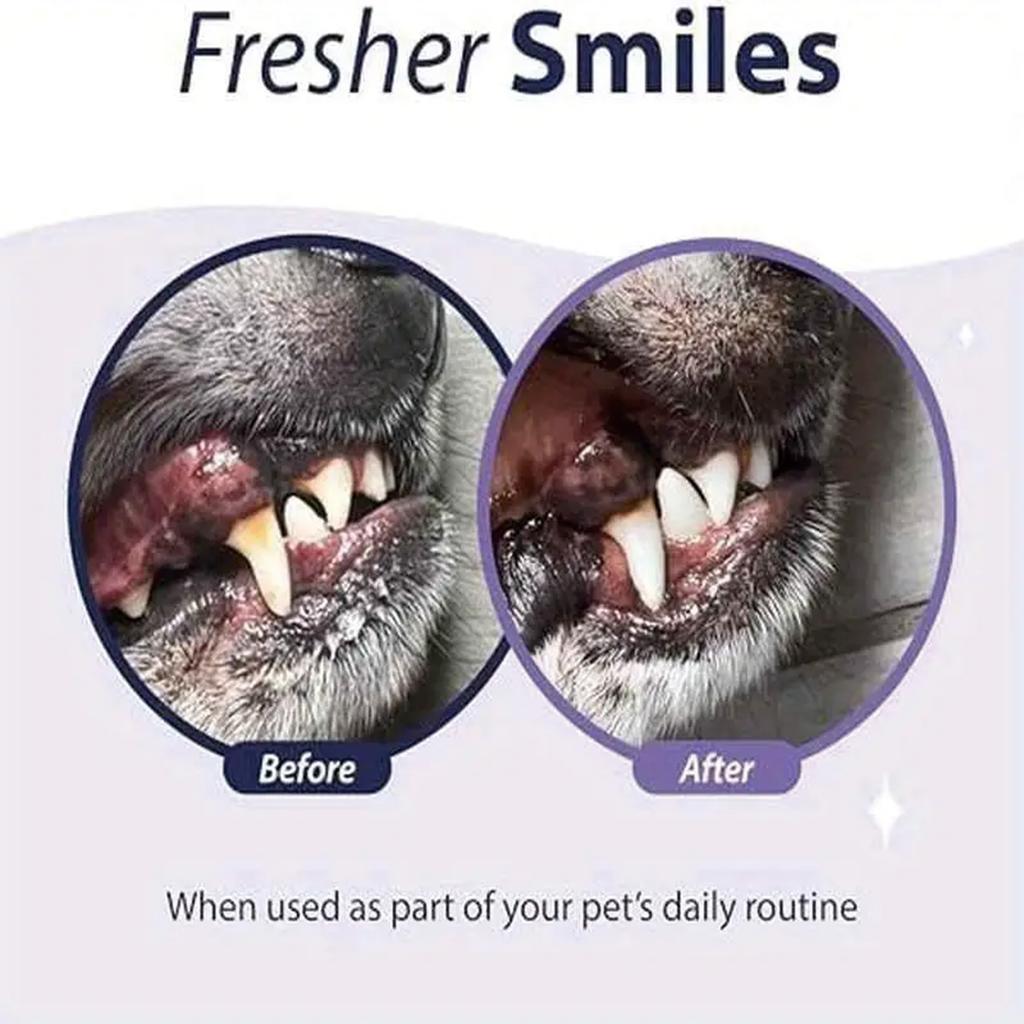Pet Tooth Powder Brings a Delicate and Clean Feeling, and After Cleaning