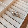 Metal wind round geometric earrings niche simple versatile stud earrings ins fashion high-end earrings