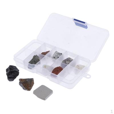 10pcs Educational Geology Mineral Collection