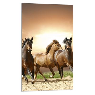 SZKLANA DESKA DO KROJENIA 30x52 Konie