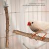 Natural Wood   Stand Holder   Grinding Perch Bird Chew Hanging Cage Toy(1.5.2.5*25cm)