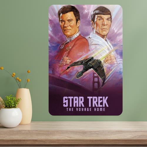 

IV The Home Classic Movie Metal Poster Sign 20x30cm（7.8x11.8inch）