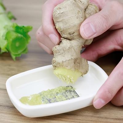 1 PC Fine Mesh Ginger GarlicPlaner and Grinder Small Size, Easy To Clean Plastic Design, Suitable for Kitchen Use Garlic Crusher